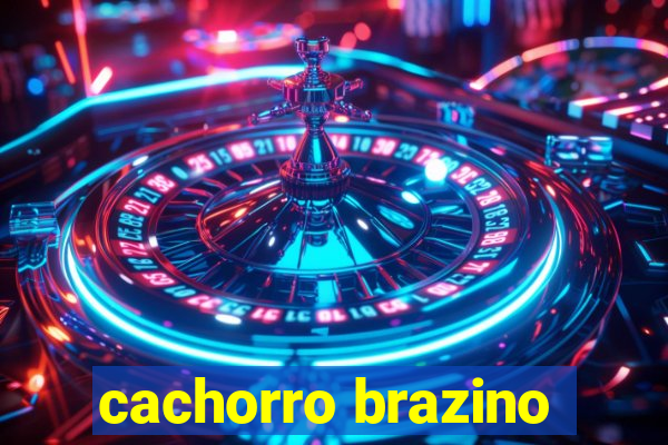 cachorro brazino